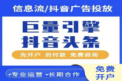大型SEM服务公司案例分析